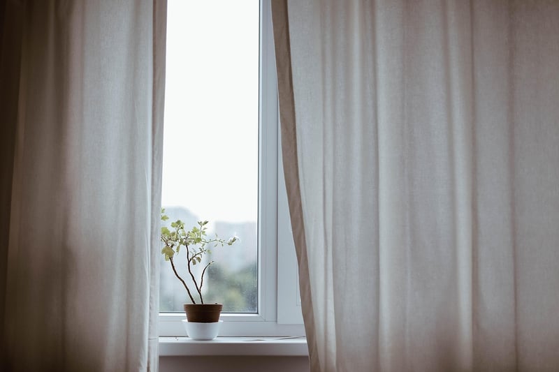 Indoor greenery