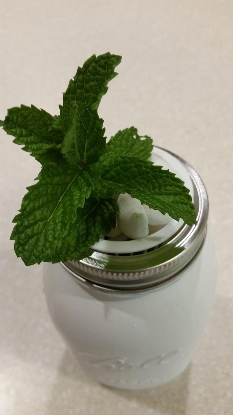 Mason Jars Planter